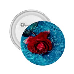 Red Roses In Water 2 25  Buttons by Audy