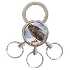 Black Crow Standing At Rock 3-ring Key Chain by dflcprintsclothing