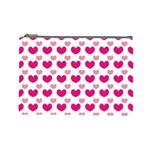  Cosmetic Bag (Large)