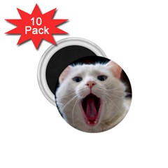 Wow Kitty Cat From Fonebook 1 75  Magnets (10 Pack)  by 2853937