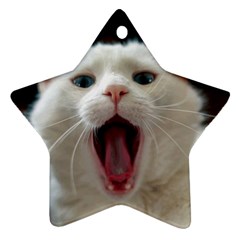 Wow Kitty Cat From Fonebook Star Ornament (two Sides)