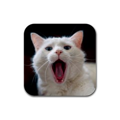 Wow Kitty Cat From Fonebook Rubber Square Coaster (4 Pack)  by 2853937