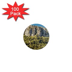 Arequita National Park, Lavalleja, Uruguay 1  Mini Magnets (100 Pack)  by dflcprintsclothing