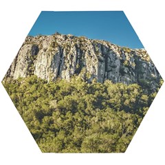 Arequita National Park, Lavalleja, Uruguay Wooden Puzzle Hexagon by dflcprintsclothing