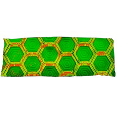 Hexagon Window Body Pillow Case (dakimakura) by essentialimage365