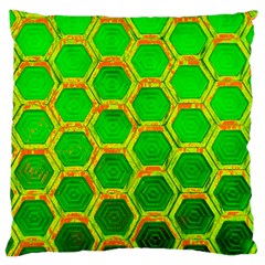 Hexagon Window Large Cushion Case (two Sides) by essentialimage365