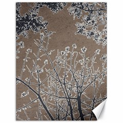 Linear Textured Botanical Motif Design Canvas 18  X 24  by dflcprintsclothing