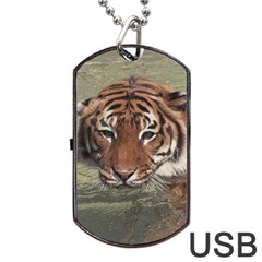 Swimming Tiger Dog Tag Usb Flash (one Side) by ExtraGoodSauce