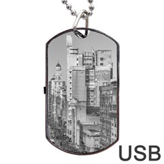 Aerial View Montevideo Uruguay Dog Tag Usb Flash (one Side) by dflcprintsclothing