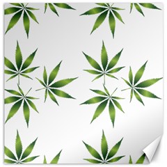 Cannabis Curative Cut Out Drug Canvas 20  X 20  by Dutashop