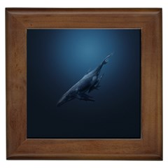 Blue Whales Framed Tile by goljakoff