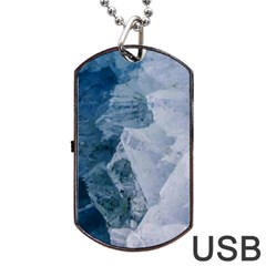 Storm Blue Ocean Dog Tag Usb Flash (two Sides) by goljakoff