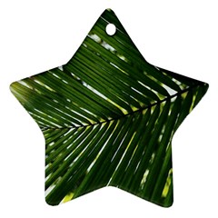 Relaxing Palms Star Ornament (two Sides) by LW323