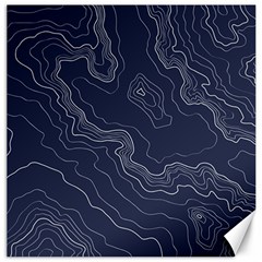 Topography Map Canvas 16  X 16  by goljakoff