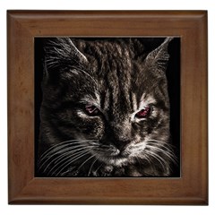 Creepy Kitten Portrait Photo Illustration Framed Tile by dflcprintsclothing