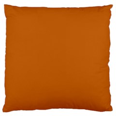 Alloy Orange Large Cushion Case (one Side) by FabChoice