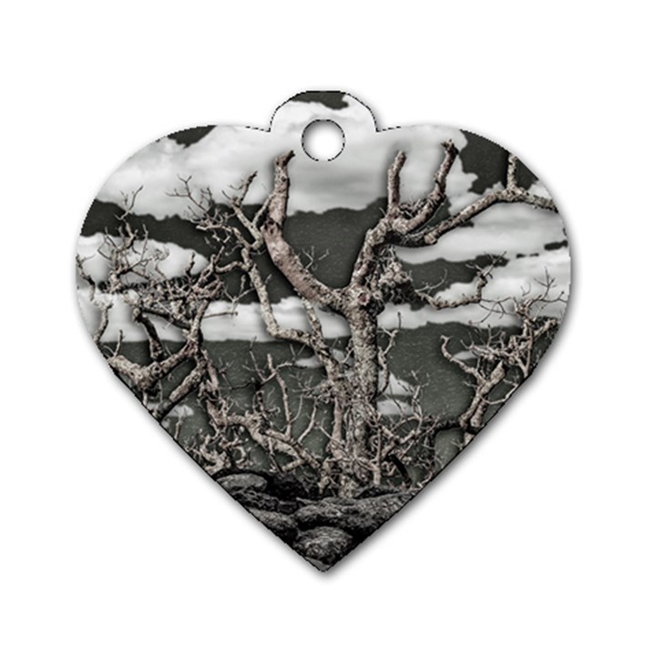 Dark Fantasy Landscape Poster Dog Tag Heart (Two Sides)