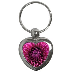 Dahlia-flower-purple-dahlia-petals Key Chain (heart) by Sapixe