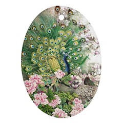 Peafowl Peacock Feather-beautiful Oval Ornament (two Sides) by Sudhe