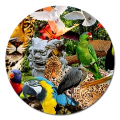 Amazonia Magnet 5  (round) by impacteesstreetwearcollage