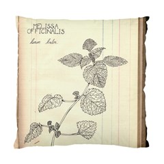 Lemon Balm Standard Cushion Case (two Sides) by Limerence