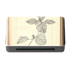 Lemon Balm Memory Card Reader With Cf by Limerence