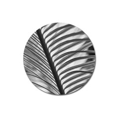Cycas Leaf The Shadows Magnet 3  (round) by DimitriosArt