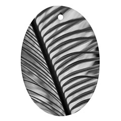 Cycas Leaf The Shadows Oval Ornament (two Sides) by DimitriosArt