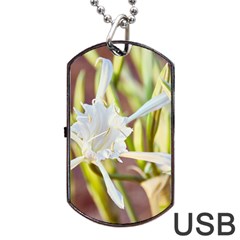 Stars On The Sand Dog Tag Usb Flash (two Sides) by DimitriosArt