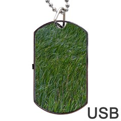 Simply Green Dog Tag Usb Flash (two Sides) by DimitriosArt