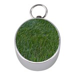 Simply green Mini Silver Compasses Front