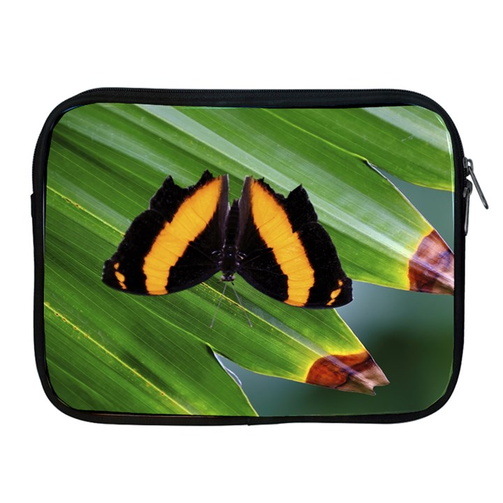 Butterfly  Apple iPad 2/3/4 Zipper Cases