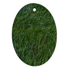 Green Carpet Ornament (oval) by DimitriosArt