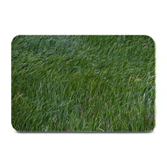 Green Carpet Plate Mats by DimitriosArt