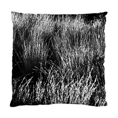 Field Of Light Abstract 2 Standard Cushion Case (one Side) by DimitriosArt