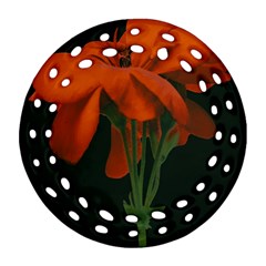 Red Geranium Over Black Background Ornament (round Filigree) by dflcprintsclothing