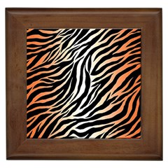 Cuts  Catton Tiger Framed Tile by nate14shop