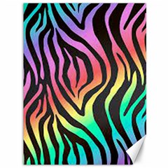 Rainbow Zebra Stripes Canvas 36  X 48  by nate14shop