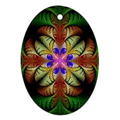 Fractal-abstract-flower-floral- -- Ornament (oval)