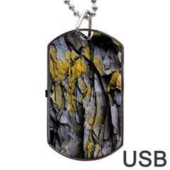 Rock Wall Crevices Geology Pattern Shapes Texture Dog Tag Usb Flash (two Sides) by artworkshop