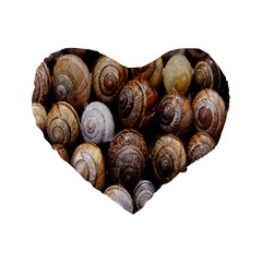 Snail Shells Pattern Arianta Arbustorum Standard 16  Premium Flano Heart Shape Cushions by artworkshop