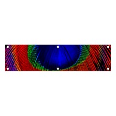 Peacock Plumage Fearher Bird Pattern Banner And Sign 4  X 1 