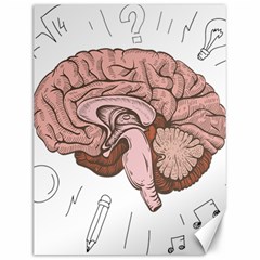 Cerebrum Human Structure Cartoon Human Brain Canvas 12  X 16  by Sapixe