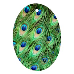Peacock-green Oval Ornament (two Sides) by nateshop