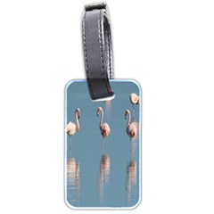 Flamingo Birds Plumage Sea Water Luggage Tag (two Sides) by artworkshop