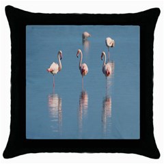 Flamingo Birds Plumage Sea Water Animal Exotic Throw Pillow Case (black) by artworkshop