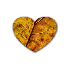 Leaf Leaf Veins Fall Rubber Coaster (heart) by artworkshop