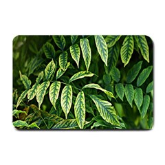 Leaves Foliage Twig Bush Plant Small Doormat  by artworkshop