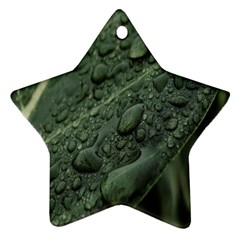 Leaves Water Drops Green  Star Ornament (two Sides)