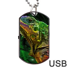 Chameleon Reptile Lizard Animal Dog Tag Usb Flash (one Side) by Wegoenart